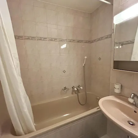 Duplex Lumineux Avec Vue * Vionnaz