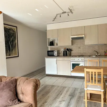 Διαμέρισμα Duplex Lumineux Avec Vue Vionnaz