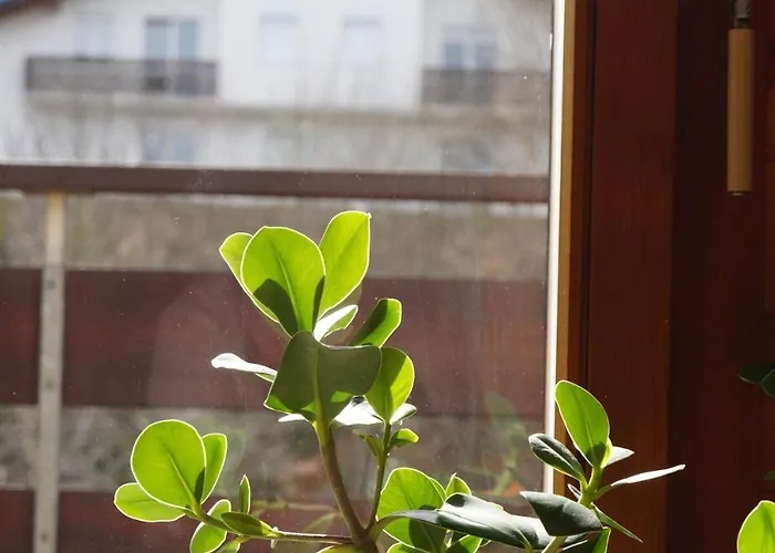 Duplex Lumineux Avec Vue Appartamento