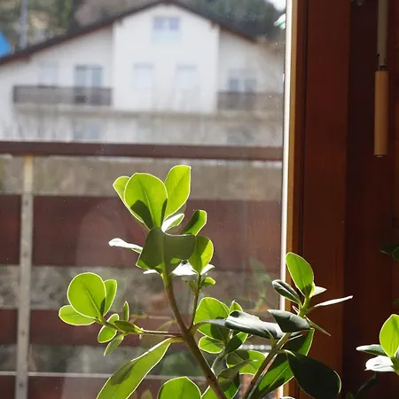 Duplex Lumineux Avec Vue アパート