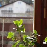 Duplex Lumineux Avec Vue Appartement